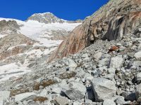 IMG_20220611_091628