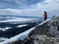 Looking at the top...
