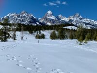 Ladies and gents the Tetons